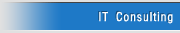IT Consulting
