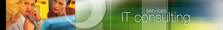 IT Consulting