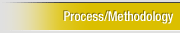 Process