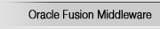 Oracle Fusion Middleware